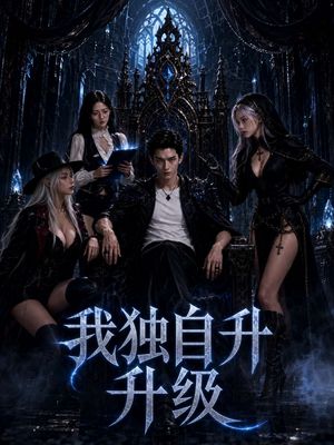我独自升级
